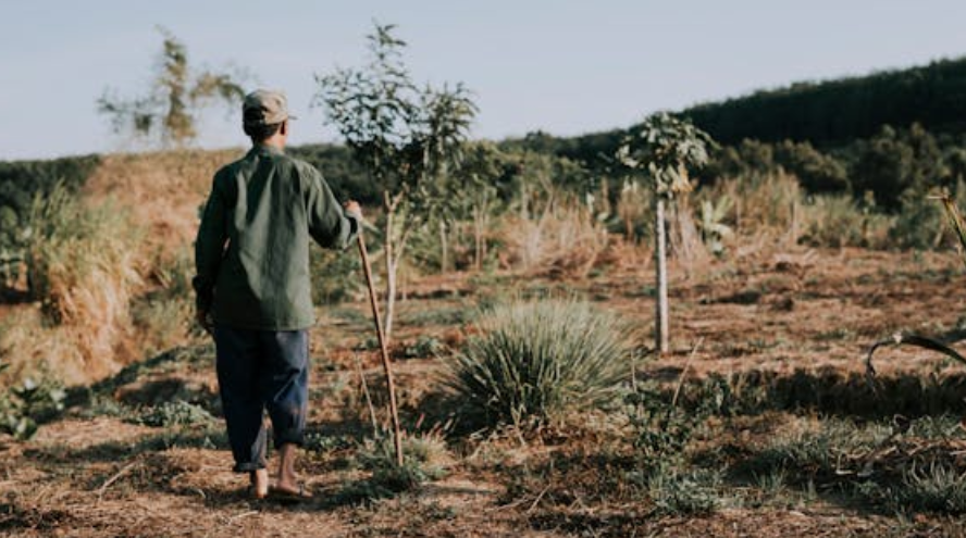 瘦成皮包骨的王健林，不能坐飞机了